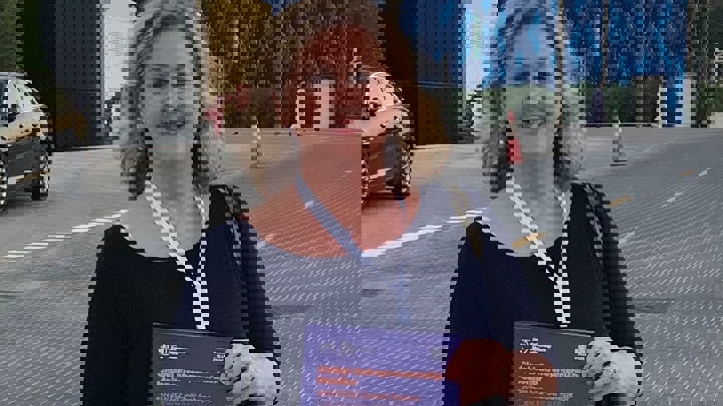 Aileen Ionescu Somers